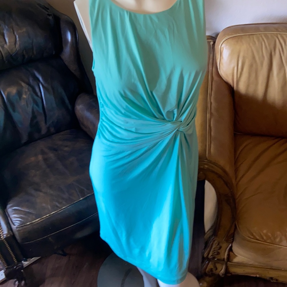 The Limited Sleeveless Dress